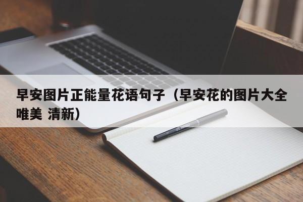 早安图片正能量花语句子（早安花的图片大全唯美 清新） 